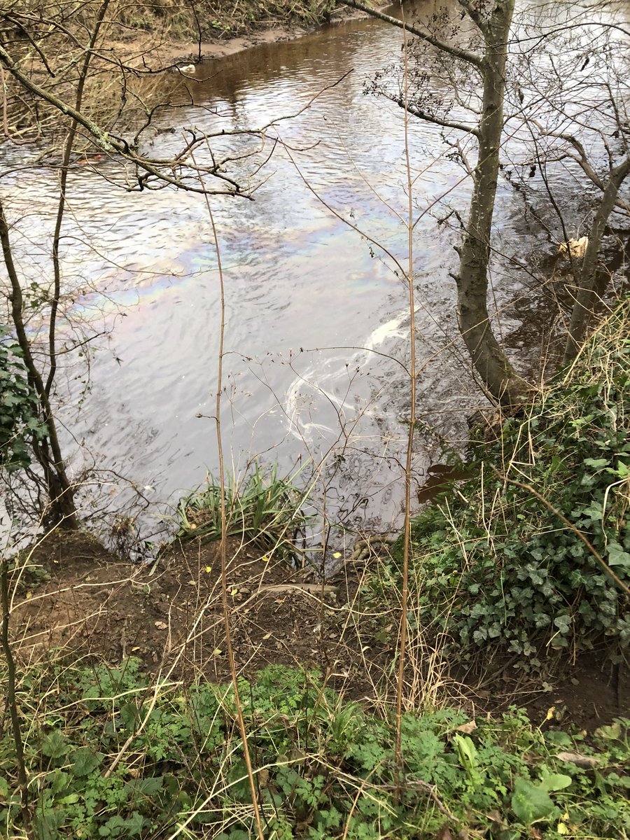 Oil spill in River Esk