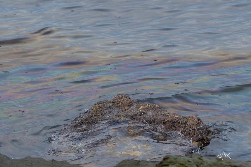 Oil spill on the Forth near the Mouth of the Esk