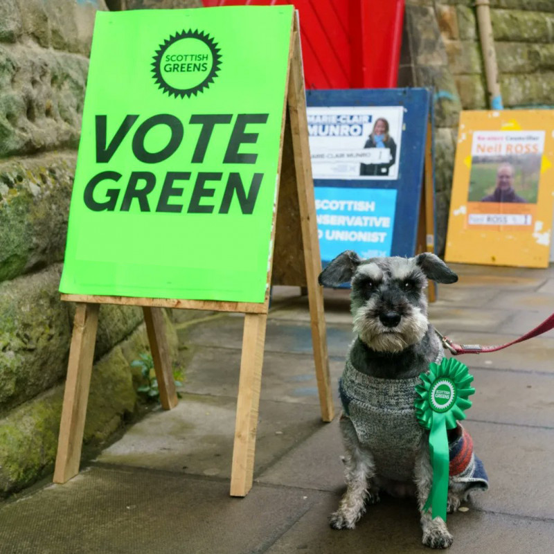 A dog next to a vote green board at polling station