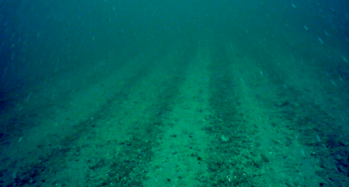 small isles mpa damage shows damaged sea floor tracks - photo by open seas