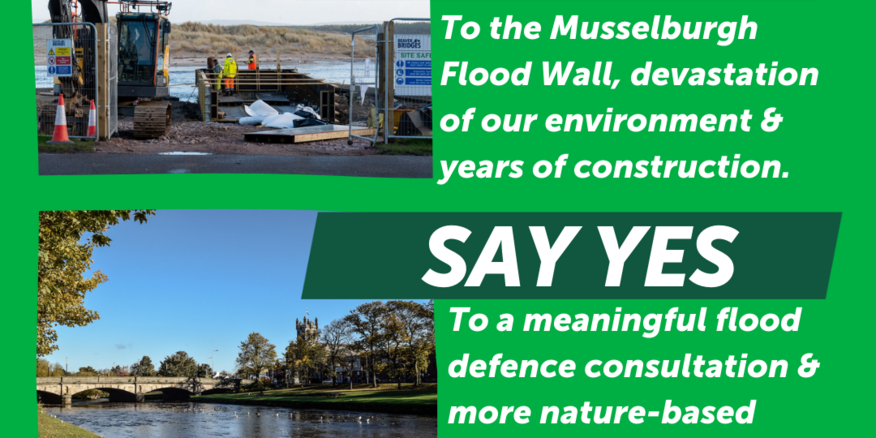 Greens set out next steps for Musselburgh Flood Defence Scheme ...