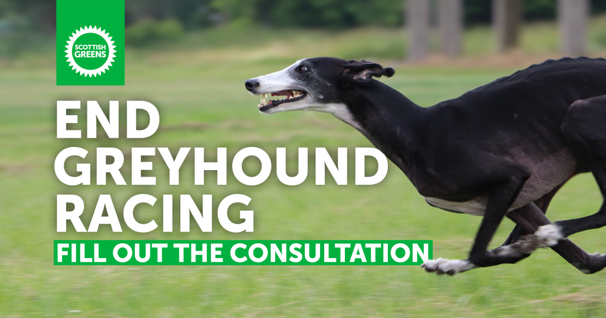 End greyhound racing. Fill out the consultation. A photo of a greyhound running through a park..